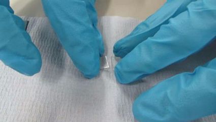 新型生物玻璃可望修复部分软骨组织